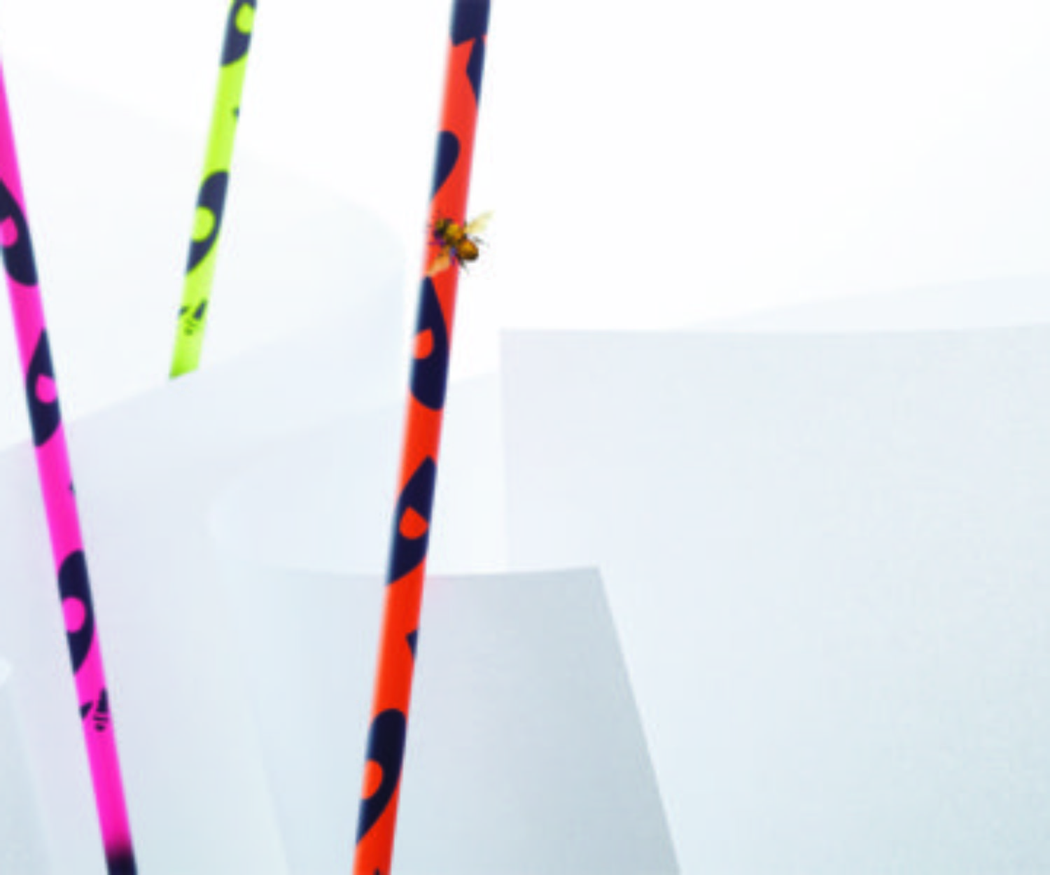 RODDIO NP Series SHAFTの画像