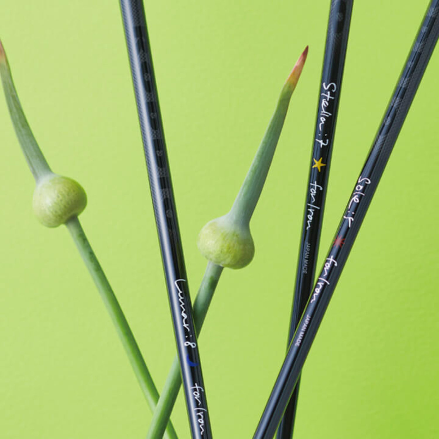 RODDIO IRON SHAFT Stella Series Lunar Series Sole Seriesの画像