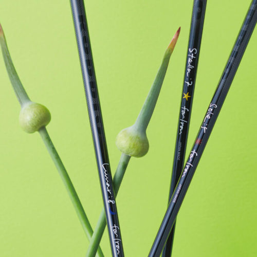 RODDIO IRON SHAFT Stella Series Lunar Series Sole Seriesの画像