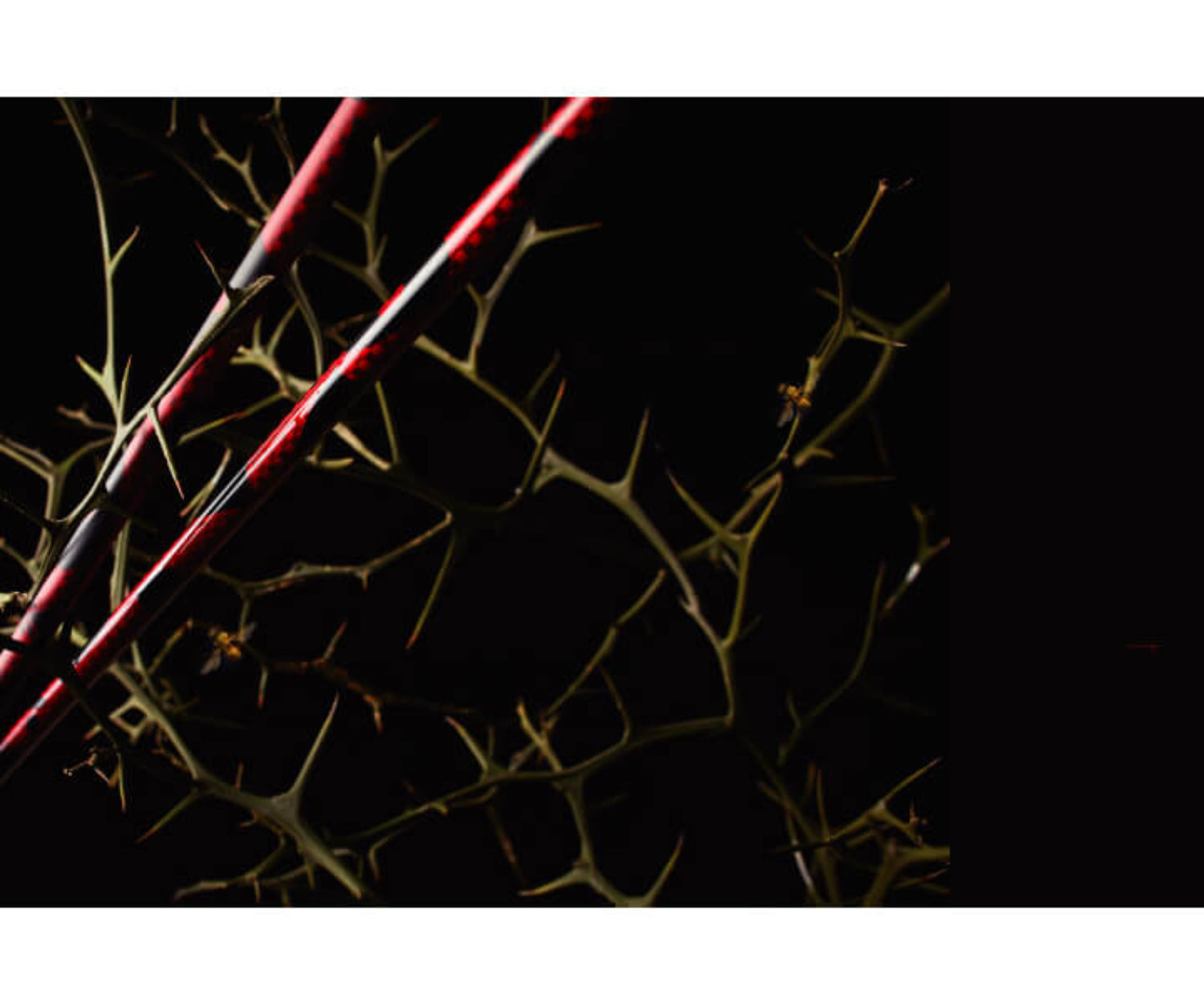 RODDIO DRIVER SHAFT TT-Seriesの画像