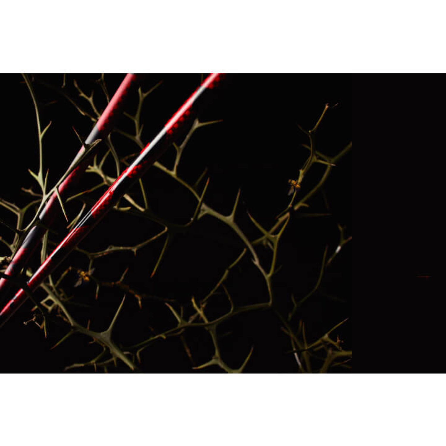 RODDIO DRIVER SHAFT TT-Seriesの画像