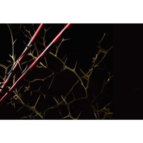 RODDIO DRIVER SHAFT TT-Seriesの画像